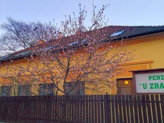 Penzion u zralych