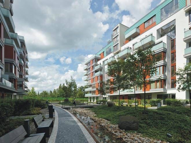 River Diamond Reality Image