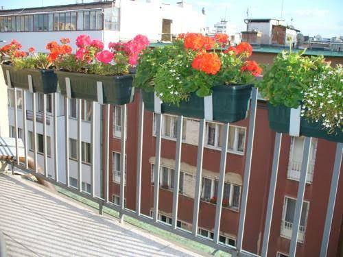 Terrace studio one