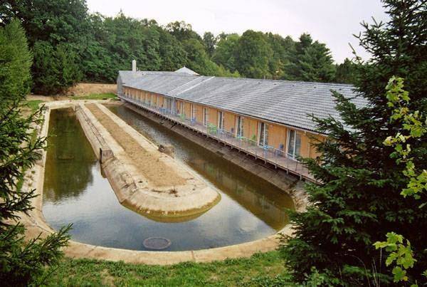 Motel dacice