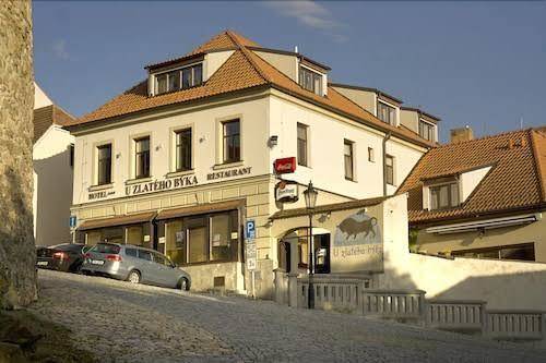 The Golden Bull Image