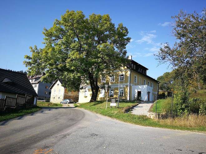 Pod pralesem