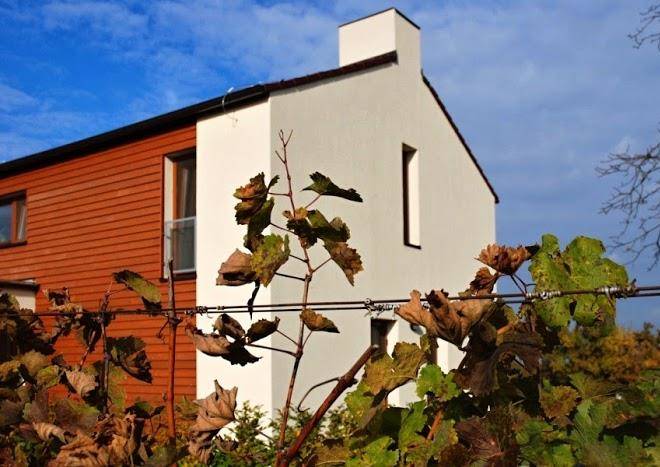 Accommodation the vineyard valtice