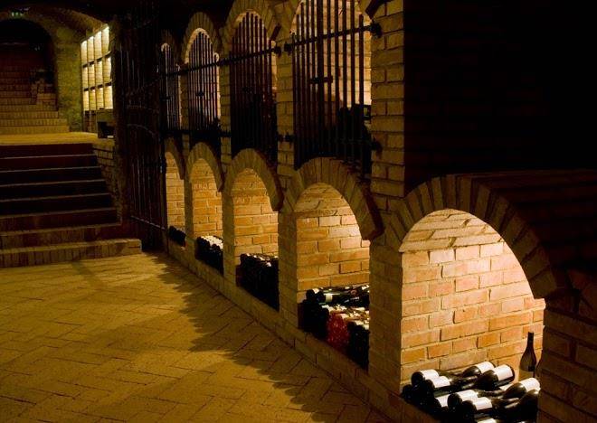 Husi placek vinicni dum