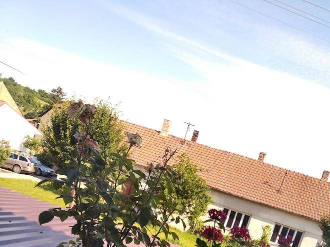 Pension winery buchta
