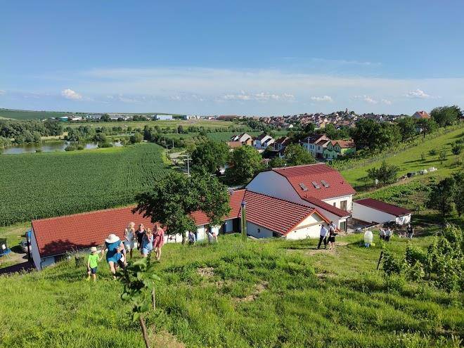 U novaku