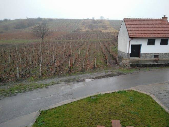 Ubytovani na vinnem sklepe vladislava smidova