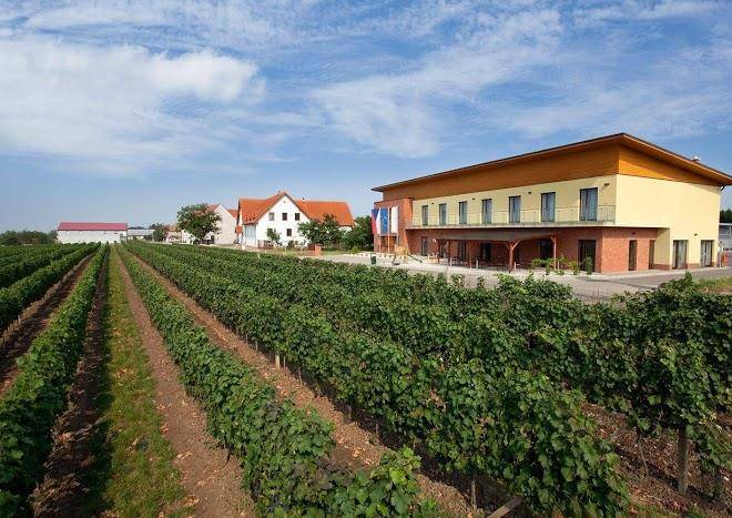 Winery Petr Skoupil Image