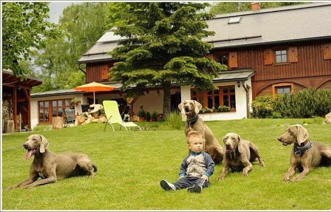 Chaloupka sneznik rodinny penzion