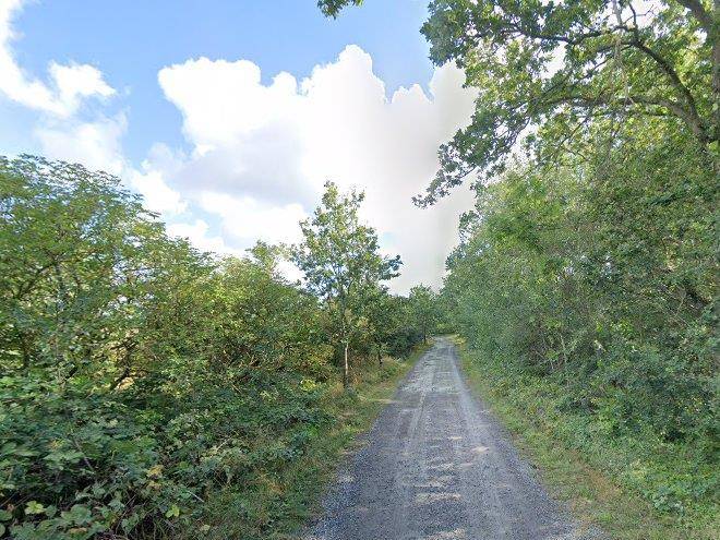 E F Dueodde Ferieby Image