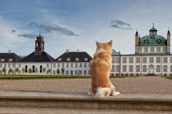 Fredensborg vandrerhjem