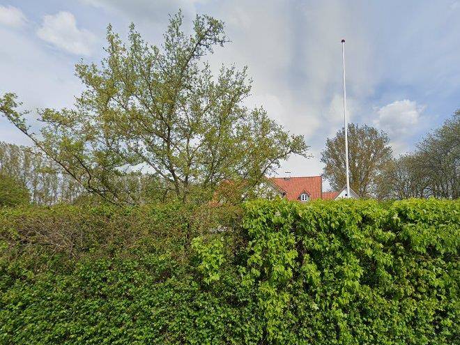 Kildegaardens stutteri v jan plenge