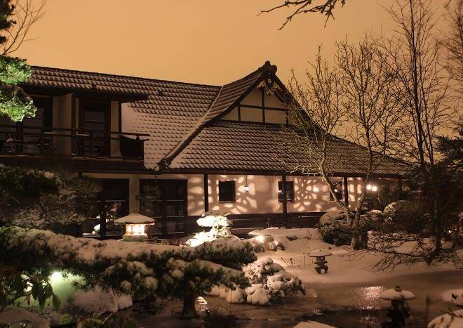 The japanese garden