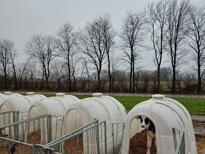 Hveddegaard farm holiday