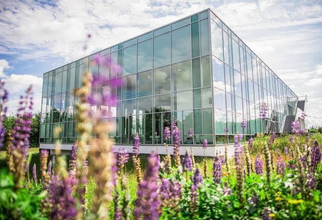 Lubker Restaurant Image