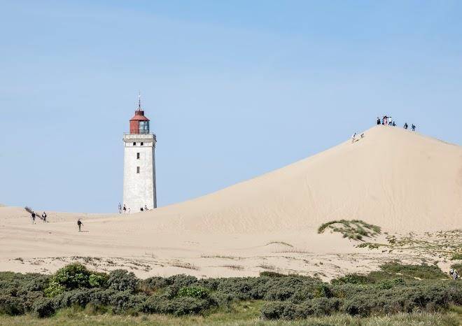 Loop Barnyard Holiday Image