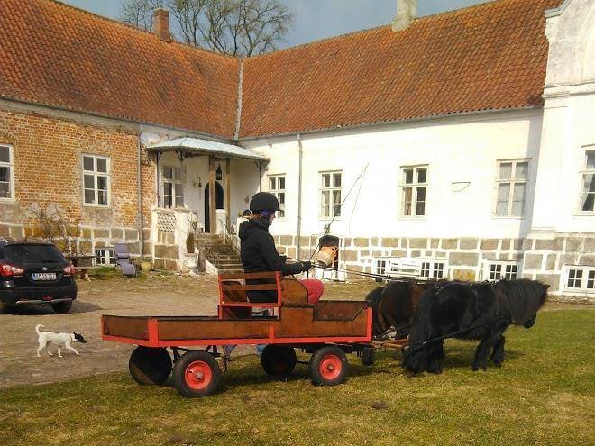 Waar hovedgaard