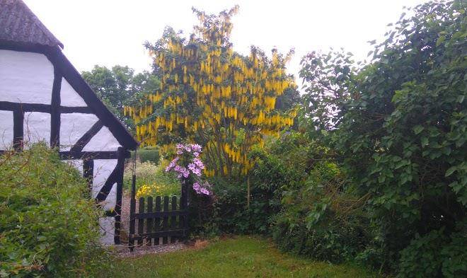 Bjornsdal In Barlose Image