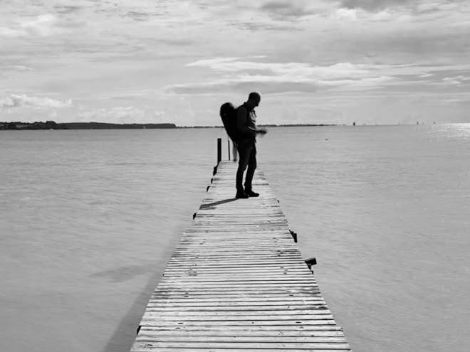 Strand vemmingbund