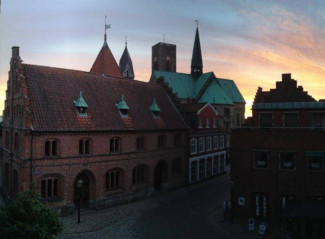Radhus conditoriet ribe