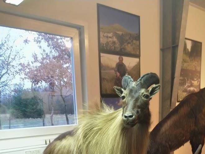 Nygaards Afrika Image