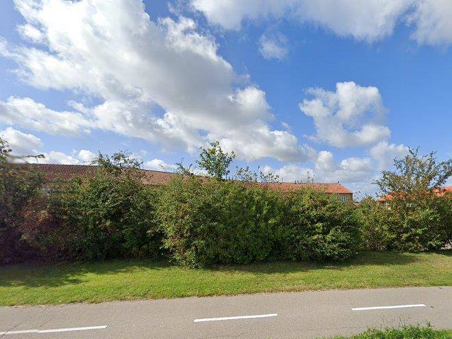Kirsebaerhegnet jyllinge