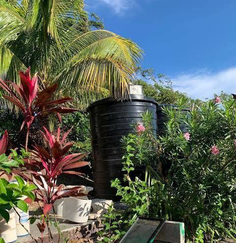 Escape Dominica Image