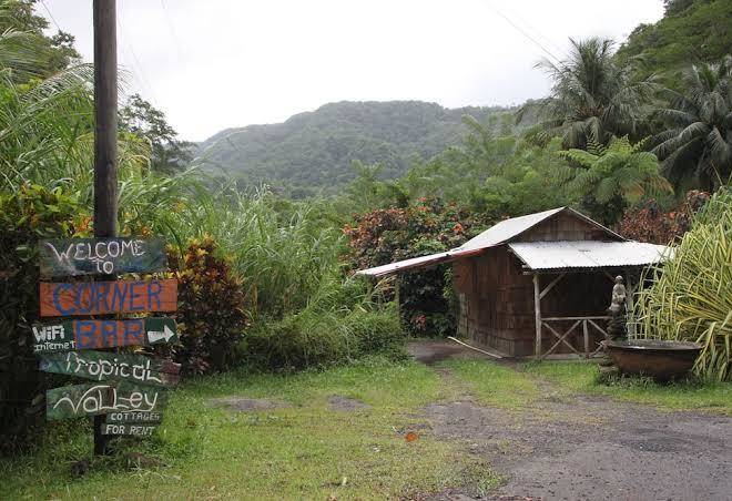 Natty Tropical Valley Image