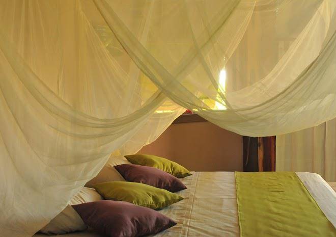 Mango Island Lodges Boutique Hotel Image