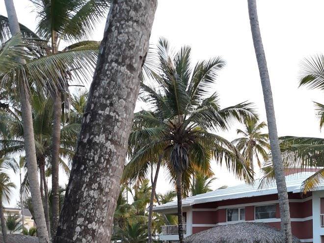 Hotel la palma