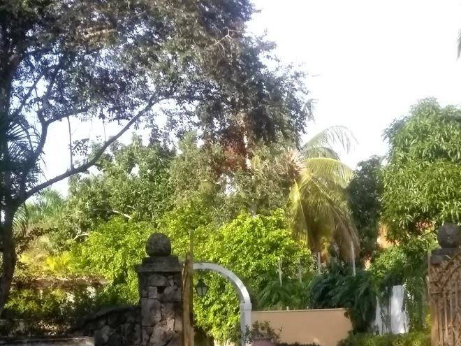 Barranca este 21