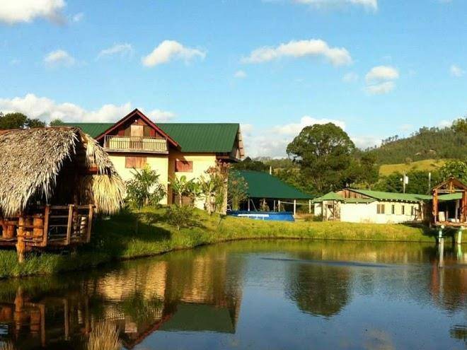 Vacacional pinar quemado