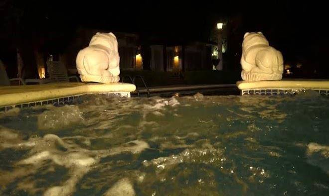 El cayito hotel & restaurante beach resort