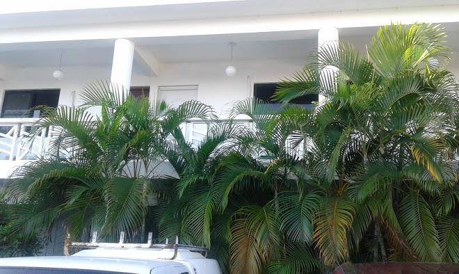 Sun shine hotel restaurante