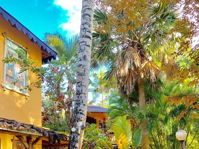 Coyamar hotel restaurant