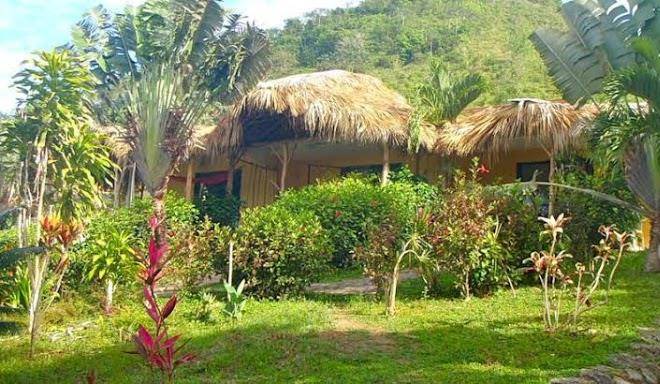 Jurassic park hotel