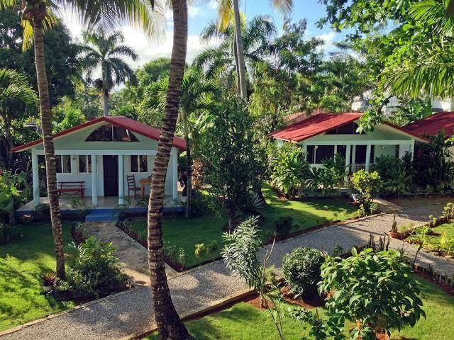 Paradiso bungalows