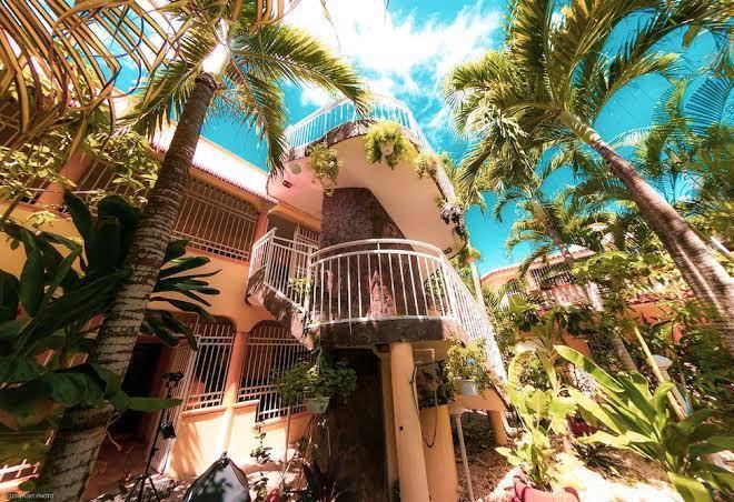 Residence tropical garden