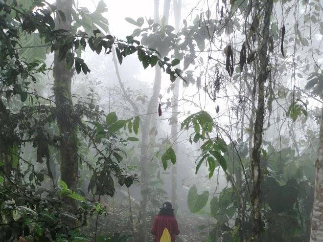 Jardin de los suenos