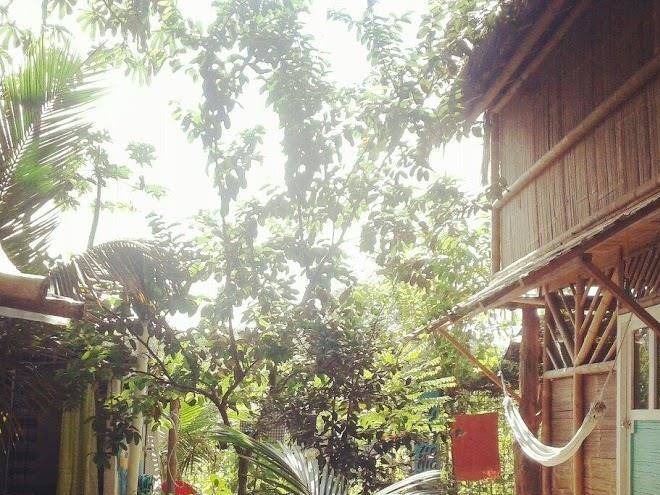 Raices mompiche