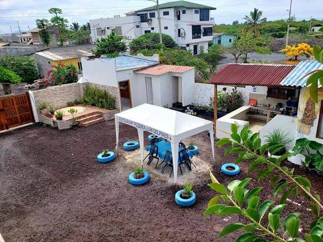 Hospedaje el delfin azul