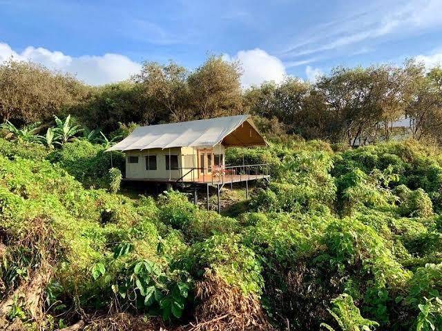 Scalesia lodge