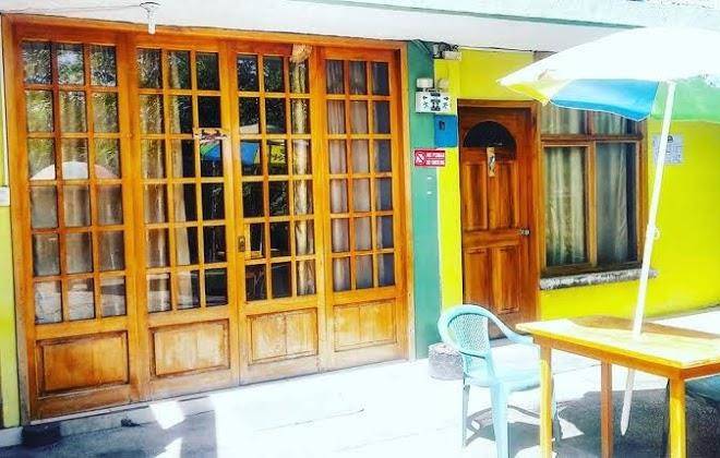 Galapagos Dove Image