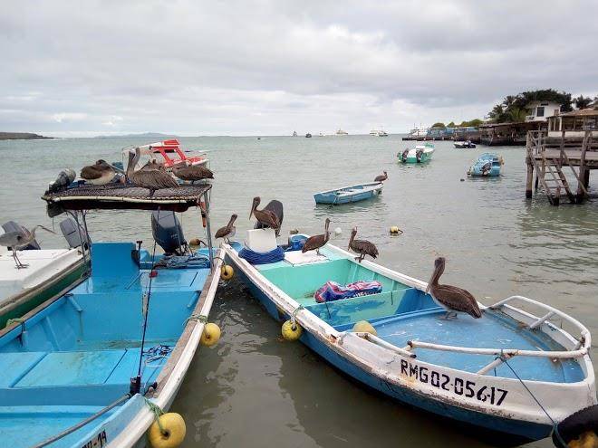El paraiso