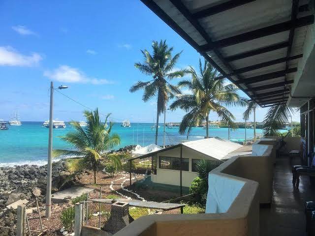 Estrella Del Mar Image