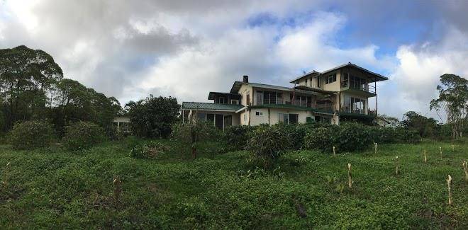 Semilla verde boutique hotel
