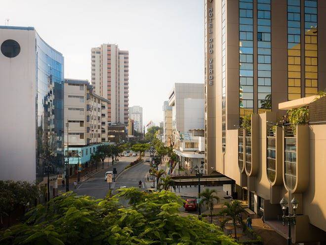 Oro verde guayaquil