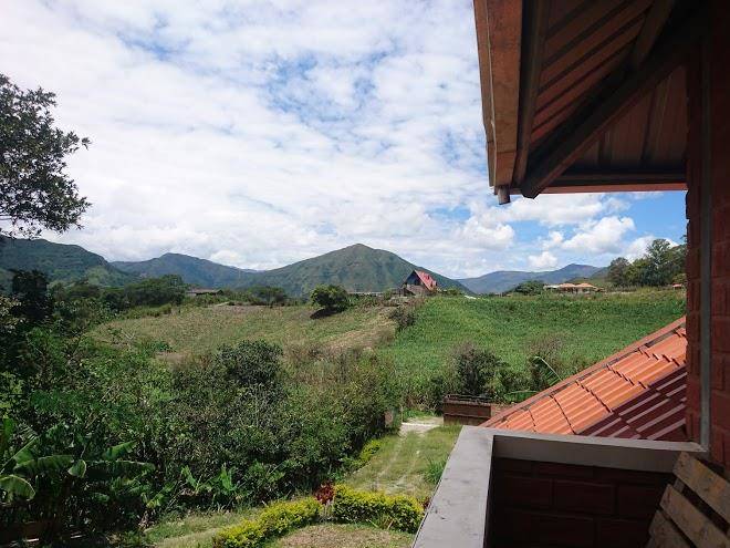 Quinta bachita