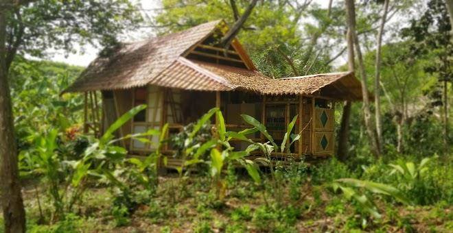 Rio muchacho organic farm