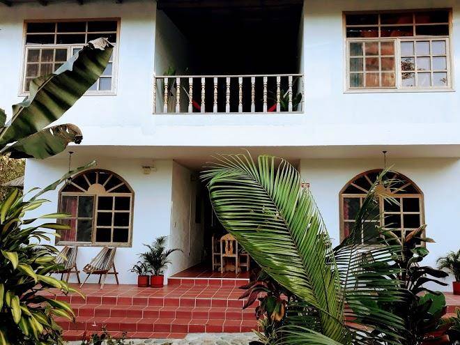 Banana lodge